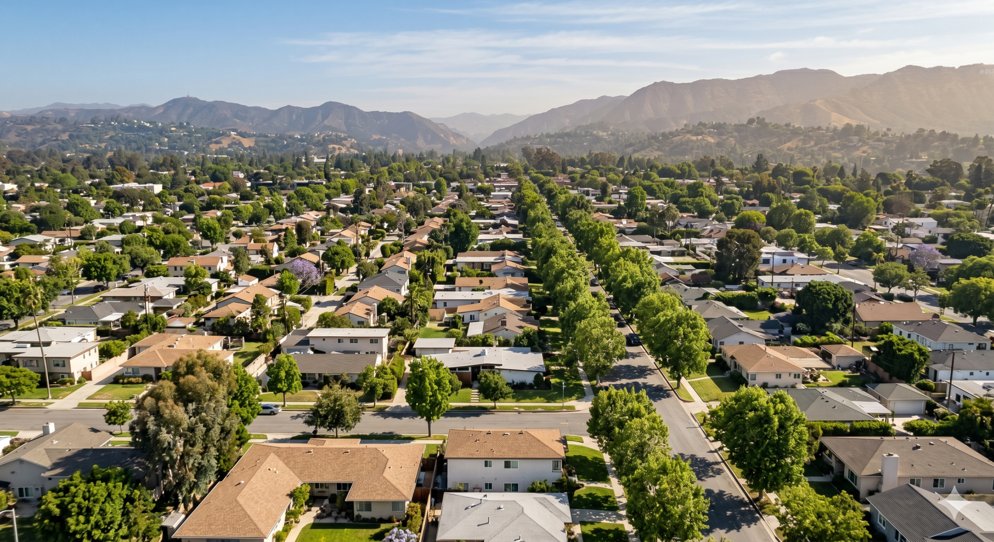 Studio City neighborhood overview — sycamore-lined residential streets with Hollywood Hills ridge