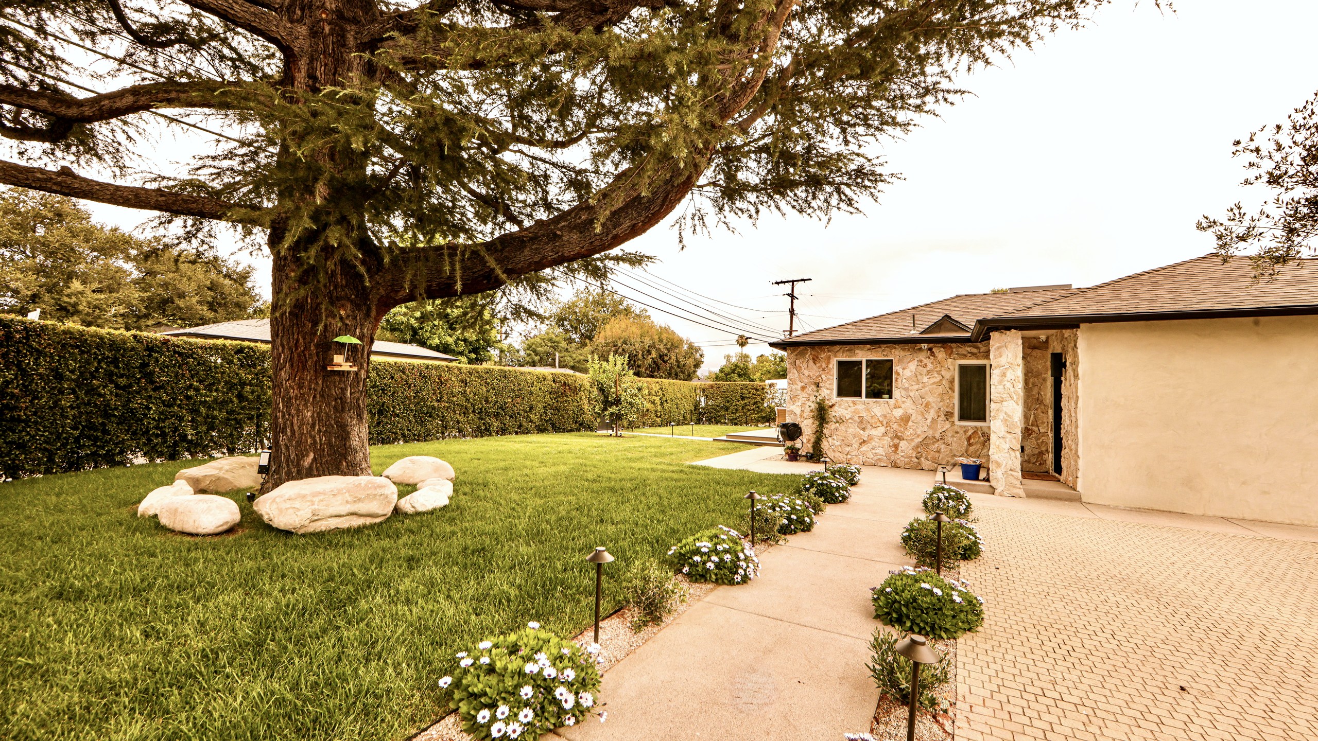 The Valley Village Canopy — a 1948 traditional home behind a mature deodar cedar, a WDC whole-home renovation in Valley Village